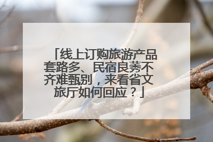 线上订购旅游产品套路多、民宿良莠不齐难甄别，来看省文旅厅如何回应？