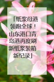 纸浆母港领跑全球！山东港口青岛港再度刷新纸浆装箱新纪录