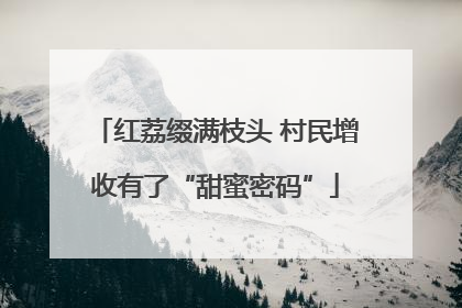 红荔缀满枝头 村民增收有了“甜蜜密码”