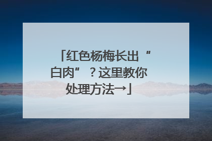 红色杨梅长出“白肉”？这里教你处理方法→