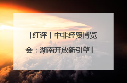 红评丨中非经贸博览会：湖南开放新引擎