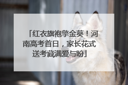 红衣旗袍擎金葵！河南高考首日，家长花式送考藏满爱与盼