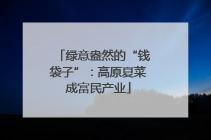 绿意盎然的“钱袋子”：高原夏菜成富民产业