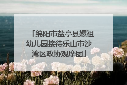 绵阳市盐亭县嫘祖幼儿园接待乐山市沙湾区政协观摩团