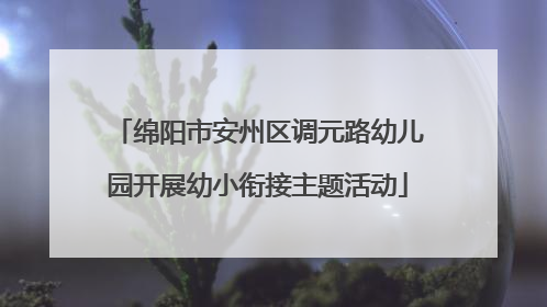 绵阳市安州区调元路幼儿园开展幼小衔接主题活动
