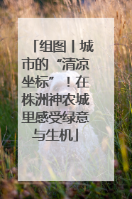 组图丨城市的“清凉坐标”！在株洲神农城里感受绿意与生机