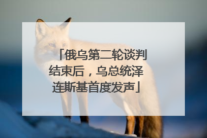 俄乌第二轮谈判结束后，乌总统泽连斯基首度发声
