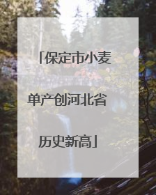 保定市小麦单产创河北省历史新高