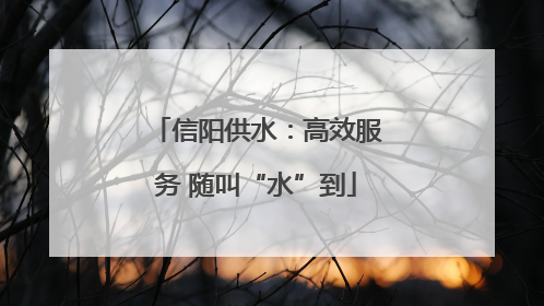 信阳供水：高效服务 随叫“水”到