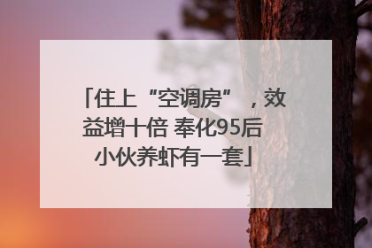 住上“空调房”，效益增十倍 奉化95后小伙养虾有一套