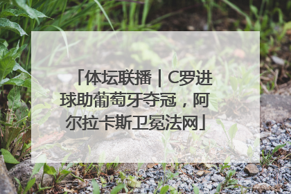 体坛联播｜C罗进球助葡萄牙夺冠，阿尔拉卡斯卫冕法网