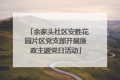 余家头社区安胜花园片区党支部开展廉政主题党日活动