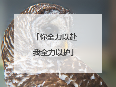 你全力以赴 我全力以护