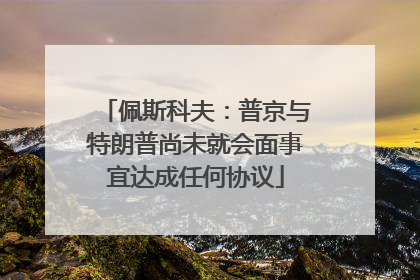 佩斯科夫：普京与特朗普尚未就会面事宜达成任何协议
