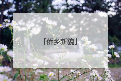 侨乡新貌