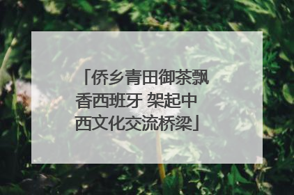 侨乡青田御茶飘香西班牙 架起中西文化交流桥梁
