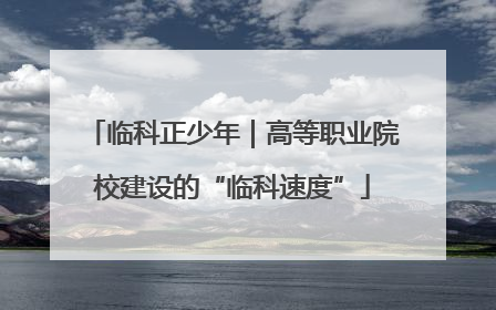 临科正少年｜高等职业院校建设的“临科速度”