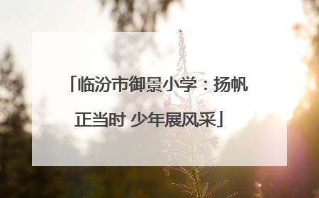 临汾市御景小学：扬帆正当时 少年展风采
