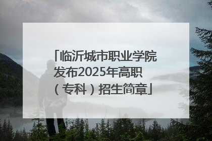 临沂城市职业学院发布2025年高职（专科）招生简章