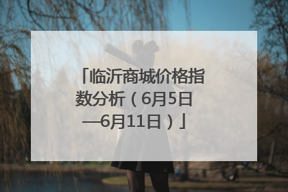 临沂商城价格指数分析（6月5日—6月11日）