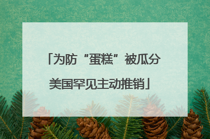 为防“蛋糕”被瓜分 美国罕见主动推销