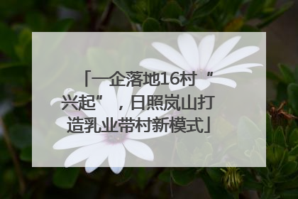 一企落地16村“兴起”，日照岚山打造乳业带村新模式