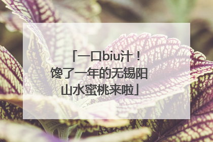 一口biu汁！馋了一年的无锡阳山水蜜桃来啦