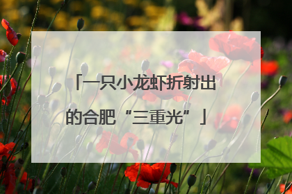 一只小龙虾折射出的合肥“三重光”