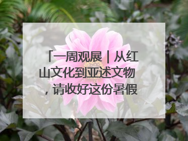 一周观展｜从红山文化到亚述文物，请收好这份暑假观展清单