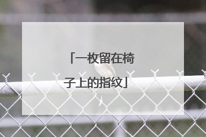 一枚留在椅子上的指纹