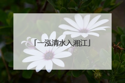 一泓清水入湘江