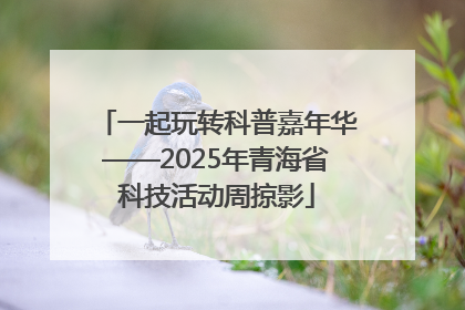 一起玩转科普嘉年华——2025年青海省科技活动周掠影