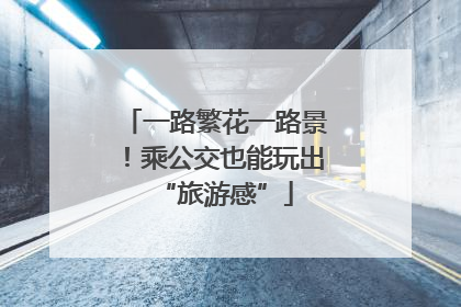 一路繁花一路景！乘公交也能玩出“旅游感”