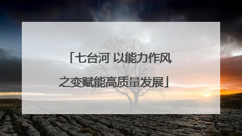 七台河 以能力作风之变赋能高质量发展