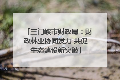 三门峡市财政局：财政林业协同发力 共促生态建设新突破