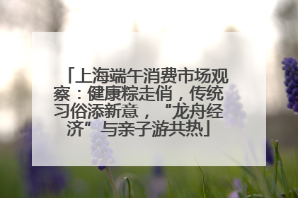 上海端午消费市场观察：健康粽走俏，传统习俗添新意，“龙舟经济”与亲子游共热