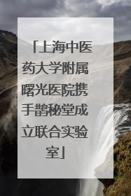 上海中医药大学附属曙光医院携手鹊秘堂成立联合实验室