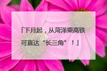 下月起，从菏泽乘高铁可直达“长三角”！