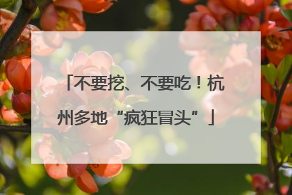 不要挖、不要吃！杭州多地“疯狂冒头”