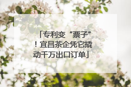 专利变“票子”！宜昌茶企凭它撬动千万出口订单