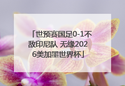 世预赛国足0-1不敌印尼队 无缘2026美加墨世界杯