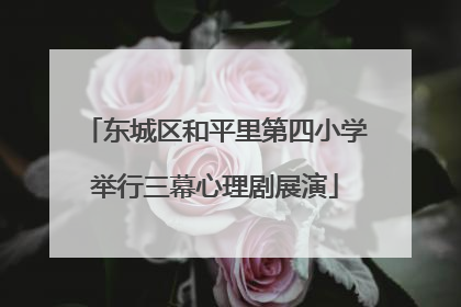 东城区和平里第四小学举行三幕心理剧展演