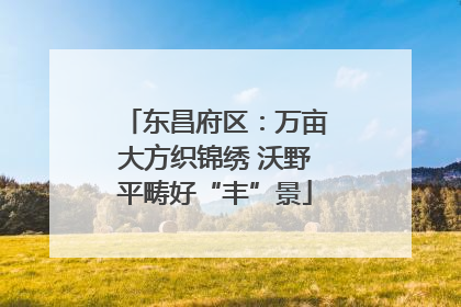 东昌府区：万亩大方织锦绣 沃野平畴好“丰”景