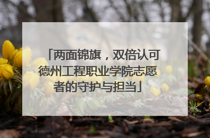 两面锦旗，双倍认可德州工程职业学院志愿者的守护与担当