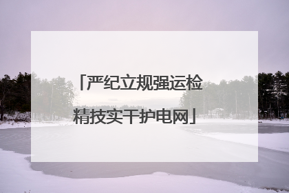 严纪立规强运检 精技实干护电网