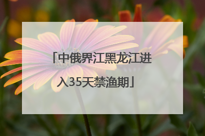 中俄界江黑龙江进入35天禁渔期