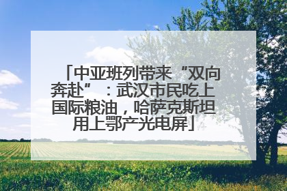 中亚班列带来“双向奔赴”：武汉市民吃上国际粮油，哈萨克斯坦用上鄂产光电屏