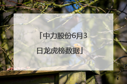 中力股份6月3日龙虎榜数据