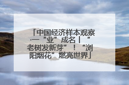 中国经济样本观察·一“业”成名丨“老树发新芽”！“浏阳烟花”燃亮世界