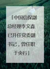 中国信保副总经理李文森已升任党委副书记，曾任职于央行